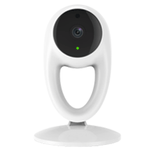 Motion Sensor